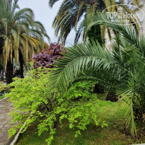 фото из отзыва ID 2278000