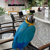 фото из отзыва ID 2278001