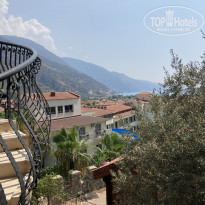 фото из отзыва ID 2278001