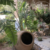 фото из отзыва ID 2278001