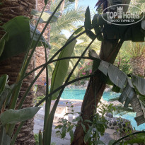 фото из отзыва ID 2278001