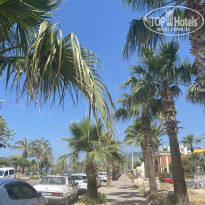 фото из отзыва ID 2278023