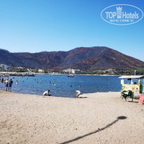 фото из отзыва ID 2278024