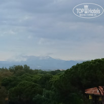 фото из отзыва ID 2278048