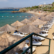 фото из отзыва ID 2278081