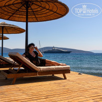 фото из отзыва ID 2278081