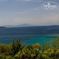 фото из отзыва ID 2278081