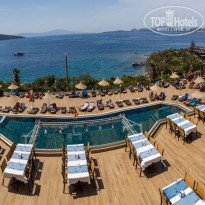 фото из отзыва ID 2278081