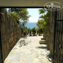 фото из отзыва ID 2278081