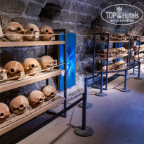 фото из отзыва ID 2278081