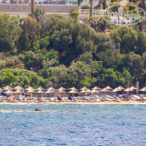 фото из отзыва ID 2278081