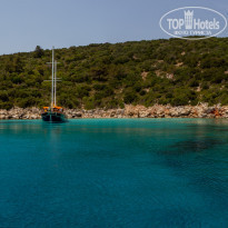 фото из отзыва ID 2278081