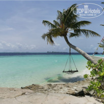 фото из отзыва ID 2278162