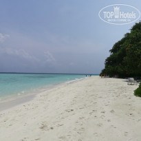 фото из отзыва ID 2278162