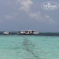 фото из отзыва ID 2278162