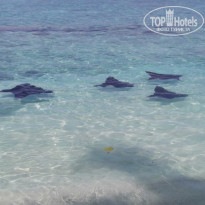 фото из отзыва ID 2278162