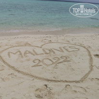 фото из отзыва ID 2278162