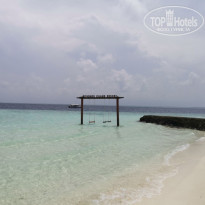 фото из отзыва ID 2278162