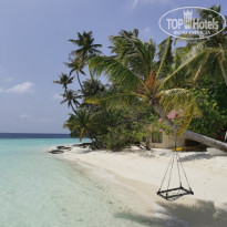 фото из отзыва ID 2278162