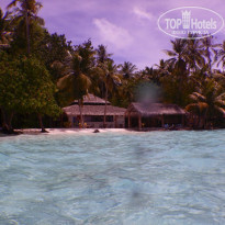 фото из отзыва ID 2278162