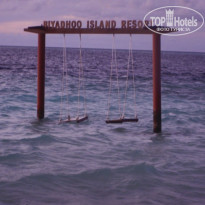 фото из отзыва ID 2278162