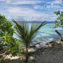 фото из отзыва ID 2278170