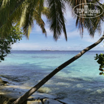 фото из отзыва ID 2278170