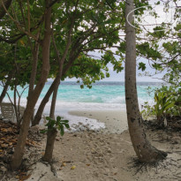 фото из отзыва ID 2278170