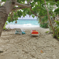 фото из отзыва ID 2278170