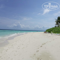 фото из отзыва ID 2278170