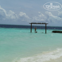 фото из отзыва ID 2278170