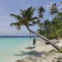 фото из отзыва ID 2278170