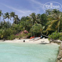 фото из отзыва ID 2278170