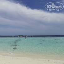 фото из отзыва ID 2278170