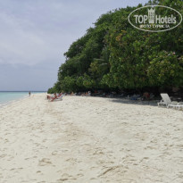 фото из отзыва ID 2278170