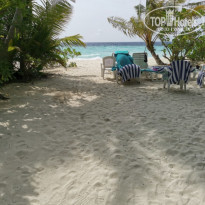 фото из отзыва ID 2278170