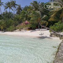 фото из отзыва ID 2278170