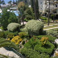 фото из отзыва ID 2278141