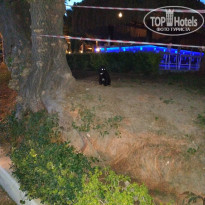 фото из отзыва ID 2278141