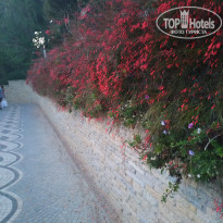 фото из отзыва ID 2278141