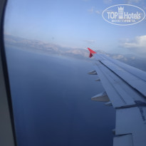 фото из отзыва ID 2278141