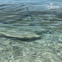 фото из отзыва ID 2278301