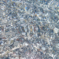 фото из отзыва ID 2278382