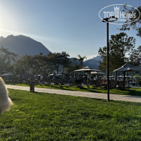 фото из отзыва ID 2278501