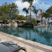 фото из отзыва ID 2278501