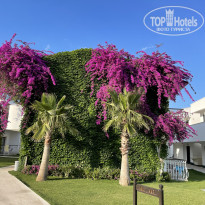 фото из отзыва ID 2278661