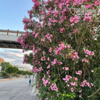 фото из отзыва ID 2278661