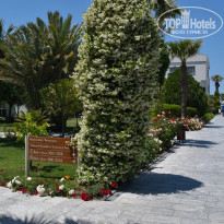 фото из отзыва ID 2278674