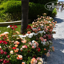 фото из отзыва ID 2278674