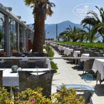 фото из отзыва ID 2278674